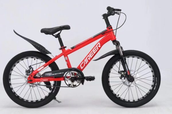 Children's mountain bike-Front and rear disc brakes